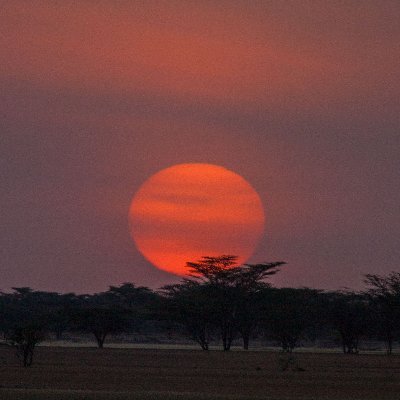 chumbax1's profile picture. 