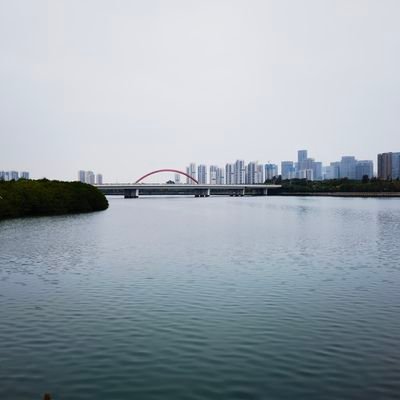 guominghuo's profile picture. 妙慧