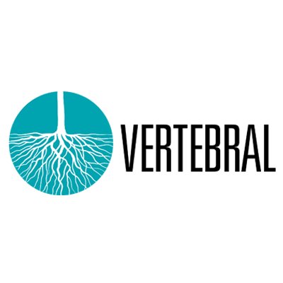 VertebralChile Profile Picture