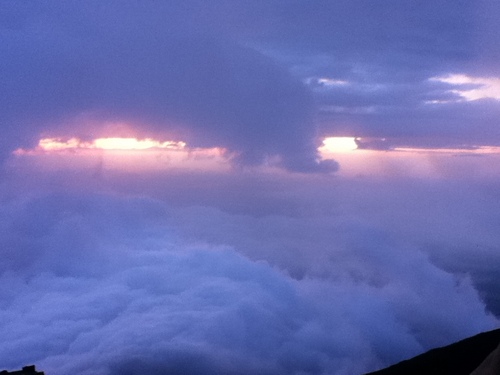 Bono_sh's profile picture. とある山奥に生息。