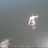 Blaze_Pascale's profile image