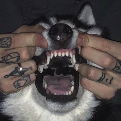 Ropoca_Pao's profile picture. 🎈Rao || One/Oneself || 18+
🌈Arrgh, might be NSFW in ther Tweets Matey! 
✨one day when im maybe with money, i'll commit the perfect crime: public disturbance.