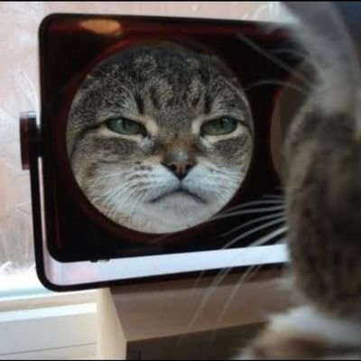 mzfckrs's profile picture. Chief Clown Officer