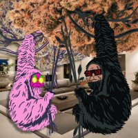THC Collection | APES IN BUD (@metaversethc) 's Twitter Profile Photo THC Collection | APES IN BUD (@metaversethc) 's Twitter Profile Photo