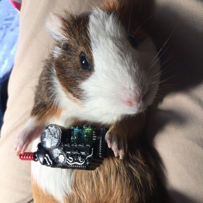 yamamusadegu's profile picture. アフリィエイトを頑張って覚えています。 Amazonアソシエイトに参加中です