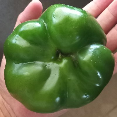 iskaalar's profile picture. 