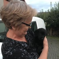Terssa (@tessa_g2) 's Twitter Profile