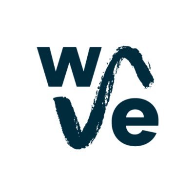 The Wave Profile