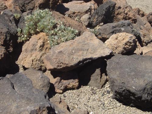 WirtschafThmoas's profile picture. 