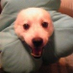 å¶ã®ã¿ãã€ð¥ðð²ðð¥ïŒå³¶ã®ã¿ãã€ïŒ (@tatsu_shima) Twitter profile photo å¶ã®ã¿ãã€ð¥ðð²ðð¥ïŒå³¶ã®ã¿ãã€ïŒ (@tatsu_shima) Twitter profile photo