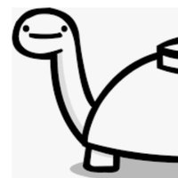 Some Random Turtle (@datrandomturtle) 's Twitter Profile