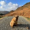 Hansford4Peter's profile picture. Enjoys the theatre and walks with my dog