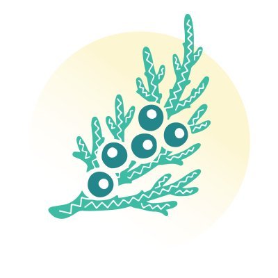 JuniperClinic's profile picture. Premier naturopathic clinic in Victoria, BC.