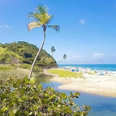 GeinesI's profile picture. 🇻🇪 Buenas cosas vienen para aquellos q´ creen, cosas mejores para los q´ son pacientes, pero las mejores vienen para los q´ no se rinden 🇻🇪