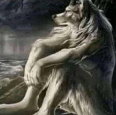 Israel49435105's profile picture. Soy fría y dura... porque cuando fui dulce y tierna, me hicieron un cheems