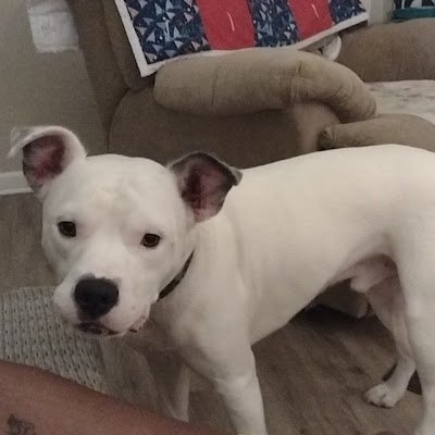 jillnpooh's profile picture. 