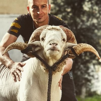 HeniMedAmine1's profile picture. 