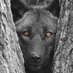 Michael Tint (@mr_michaeltint) Twitter profile photo Michael Tint (@mr_michaeltint) Twitter profile photo