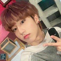 iris /jeongin's gf! (@jeongin1skz) 's Twitter Profile