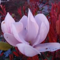 tonka (@tonka37180719) 's Twitter Profile Photo tonka (@tonka37180719) 's Twitter Profile Photo