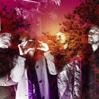 Amusement Parks On Fire (@apof) 's Twitter Profile