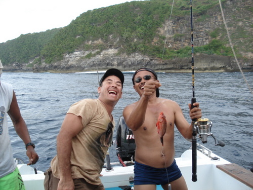Services: CAR & DRIVER CHARTER Discount Tour in Bali : Rafting, Trekking,  Fishing, Cruises, Elephant Ride, SPA Treatment  Mobile Call : +6281236803300.