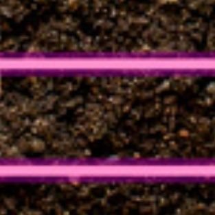 snoddy's profile picture. 