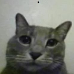 lightbringerv's profile picture. study twt | college twt ☂️
software eng.!