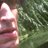 Macrod1's profile image