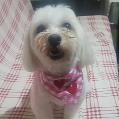 songurr's profile picture. ATATÜRK  VE GALATASARAY Sevmeyenler takip etmesin