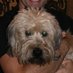 Kerry Hebble (@krhebble) Twitter profile photo Kerry Hebble (@krhebble) Twitter profile photo