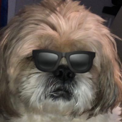 LewisFranJones's profile picture. 