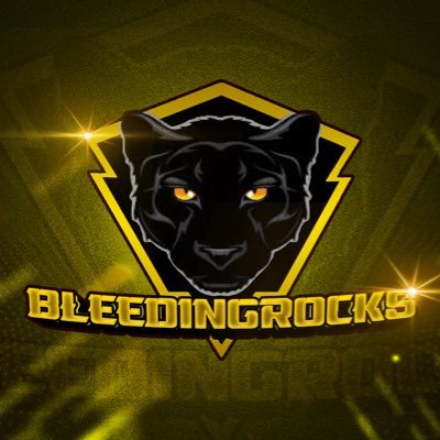 BleedingRocks Profile Picture