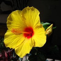 Amy Kirby (@a_schmer) 's Twitter Profile