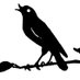 Nightingale Project (@projnightingale) Twitter profile photo Nightingale Project (@projnightingale) Twitter profile photo