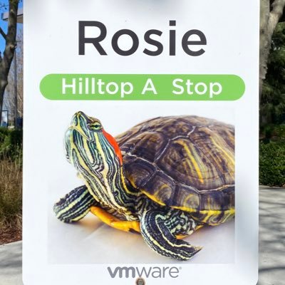 🐢 VMware Turtles 🌩