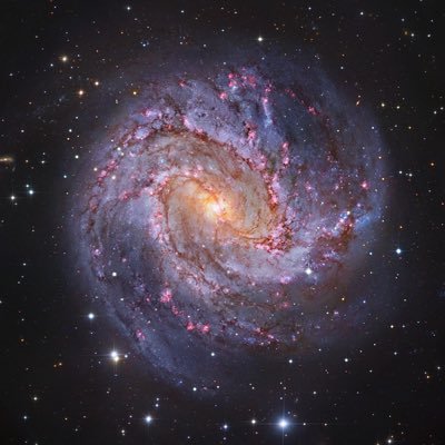 PereSJW's profile picture. Politically accurate - 🇫🇷🔻