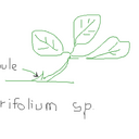 philip hom - @philpalm - Twitter