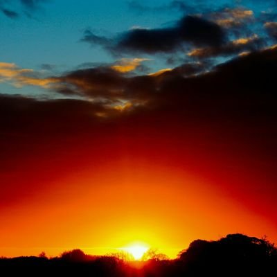 osls06135413's profile picture. التواضع والبساطه