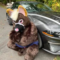 Dr. Knock Boots (@ikaruafterdark) 's Twitter Profile Photo Dr. Knock Boots (@ikaruafterdark) 's Twitter Profile Photo