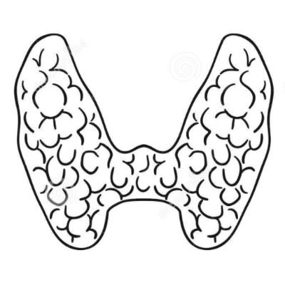 Thyroid, Parathyroid, and Adrenal Surgery.
Patient care. Research. Education.