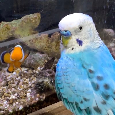 hitokuchi_6194's profile picture. 🎵→BUMP/📕→シャンフロ