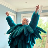 Pebblebed (@pebble_bed) 's Twitter Profile