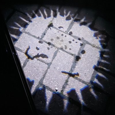 ErecoverySarena's profile picture. 