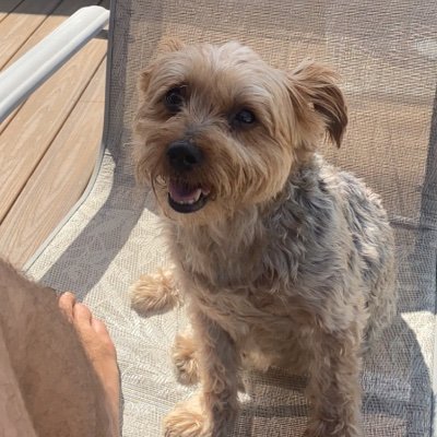 TheTierneyUnit's profile picture. 