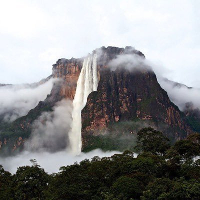 morenojedgar's profile picture. 