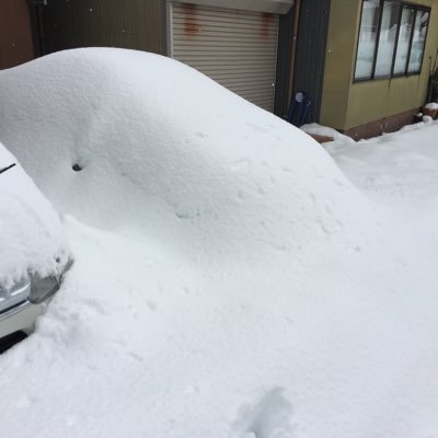 uminoiwana's profile picture. 吹雪のオープンカー乗り