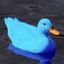 Blueduck203 (@blueduck203) Twitter profile photo Blueduck203 (@blueduck203) Twitter profile photo