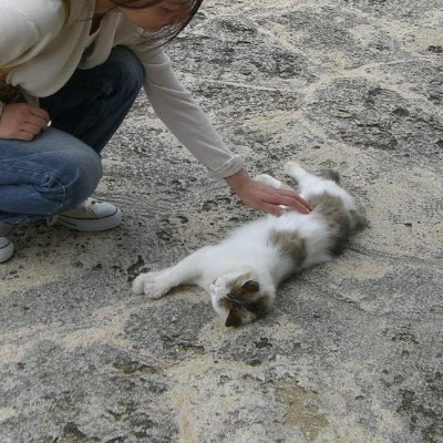 hadegonomi3's profile picture. ゆるゆると起業準備中。。