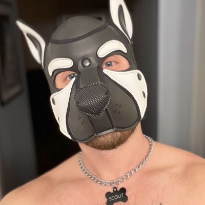 a Chicago pup’s Alt. mostly retweets/likes and maybe a few pics 🐶😉